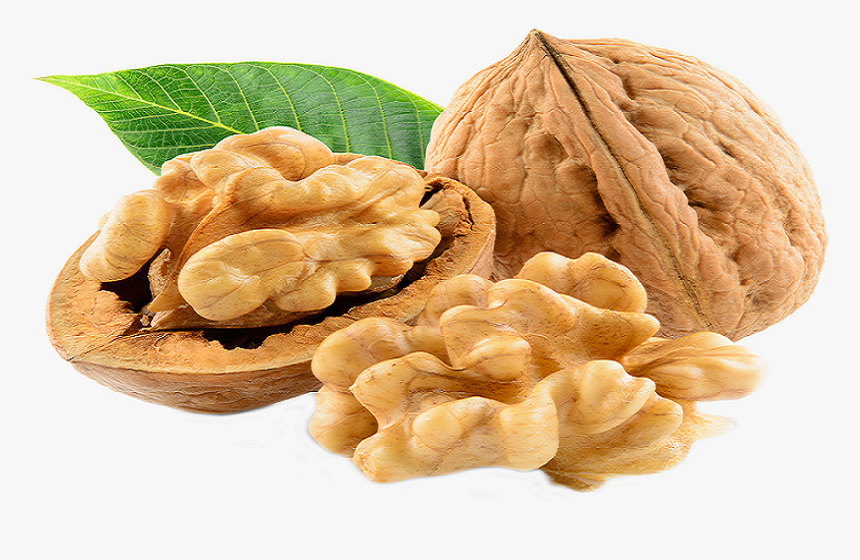 Max Overseas FZ-LLC | Dryfruits